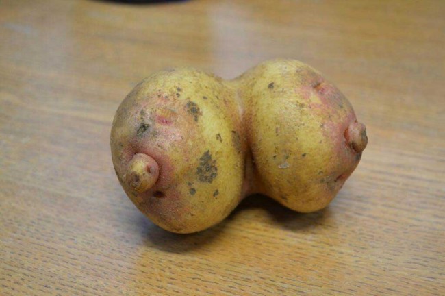 potato breasts