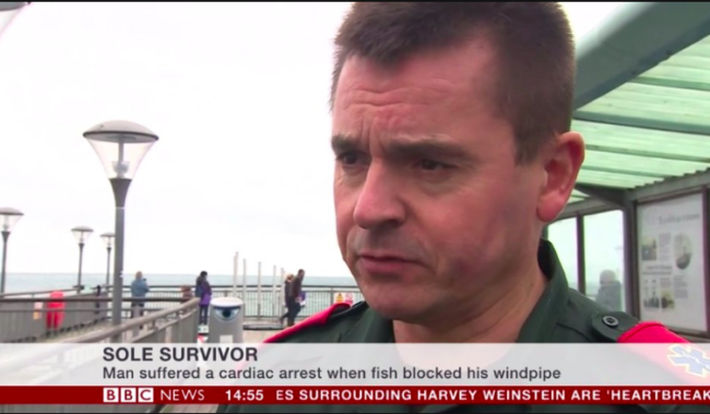 bbc pun sole survivor