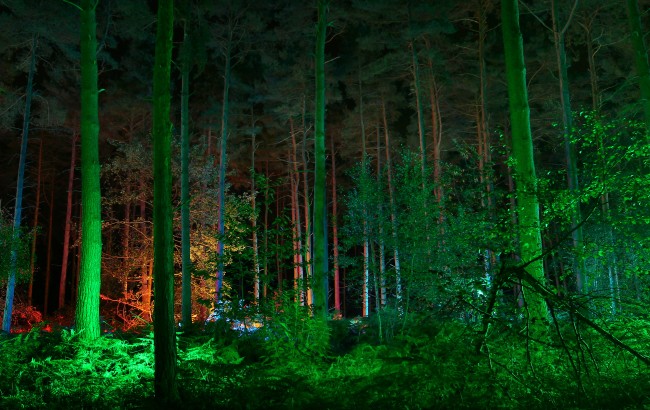 Anorak News Are You Ready For Glow In The Dark Trees