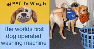 Anorak News | Woof To Wash: The Wonderful Dog-Operated Washing Machine