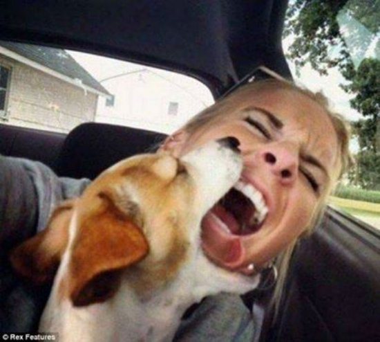 Anorak News Selfie Fails 16 To Laugh At