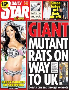 killer giant invading german scottish rats britain daily star, daily express tabloids