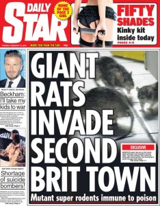 killer giant invading german scottish rats britain daily star, daily express tabloids