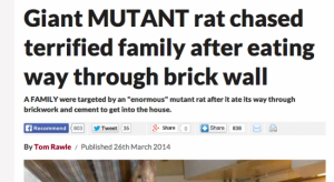 killer giant invading german scottish rats britain daily star, daily express tabloids