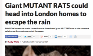 killer giant invading german scottish rats britain daily star, daily express tabloids