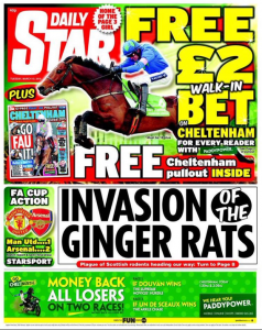 daily star ginger rats