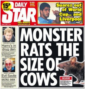 killer giant invading german scottish rats britain daily star, daily express tabloids