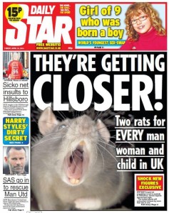 killer giant invading german scottish rats britain daily star, daily express tabloids